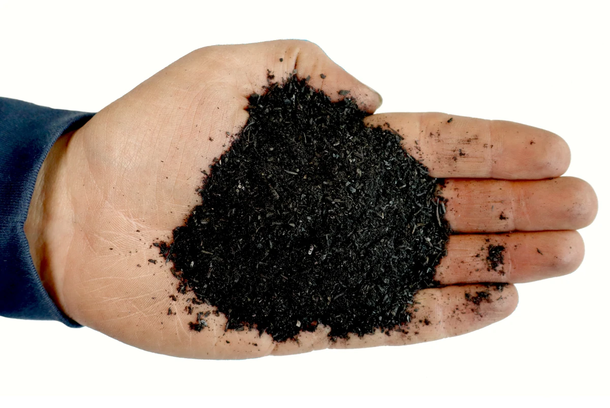 Silvachar 0–2 millimetre Biochar particles held in a hand