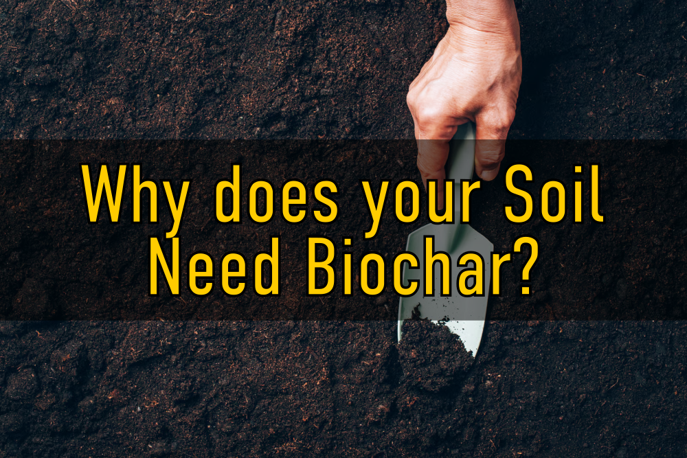 Biochar for Soil